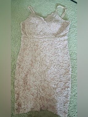 Speechless Lace Midi Dress in Blush Pink